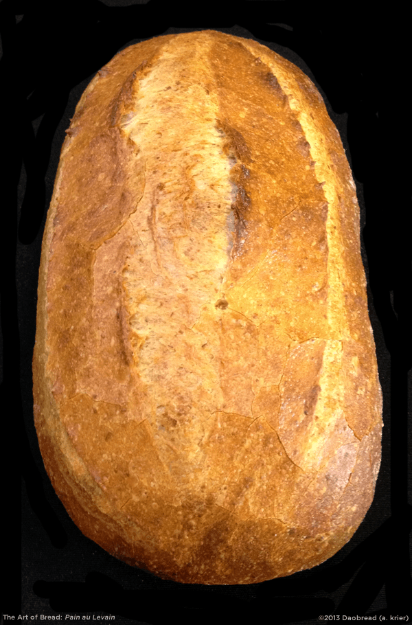 Art of Bread image