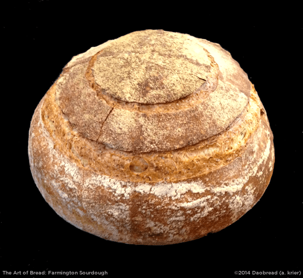 Art of Bread image
