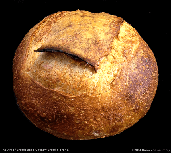 Art of Bread image
