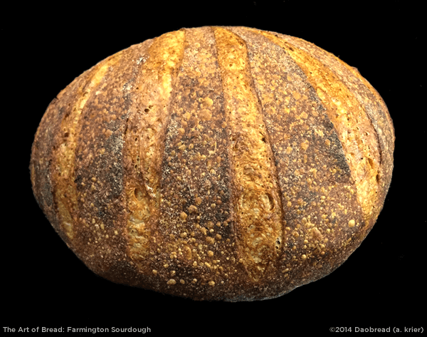 Art of Bread image