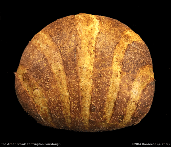 Art of Bread image