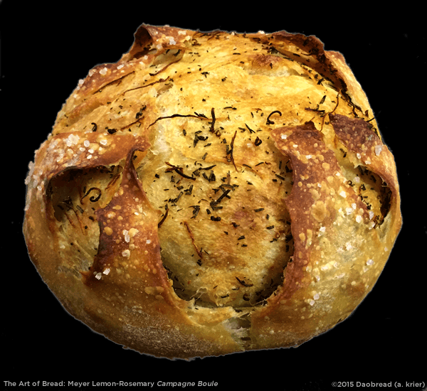 Meyer Lemon-Rosemary Campagne Boule