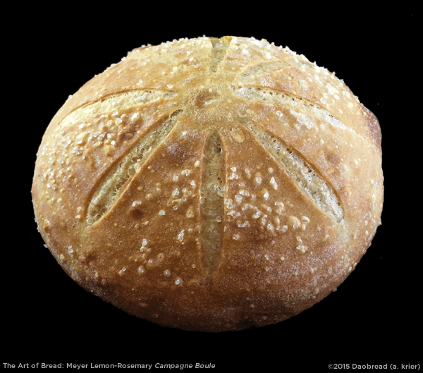 Meyer Lemon-Rosemary Campagne Boule