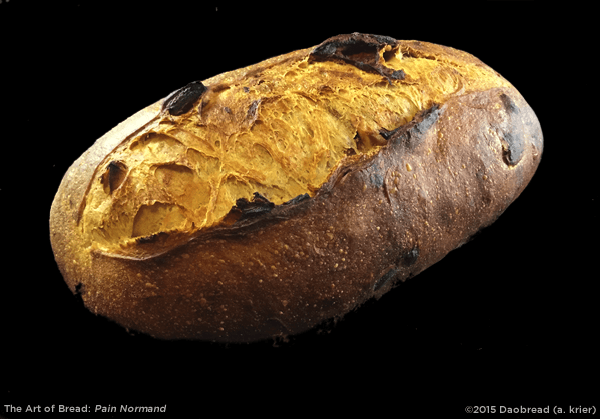 Meyer Lemon-Rosemary Campagne Boule