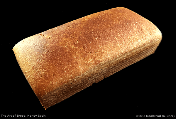 Honey Spelt Sourdough