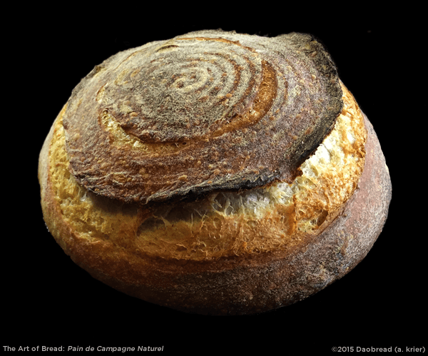 Pain de Campagne Naturel