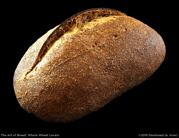 Whole Wheat Levain