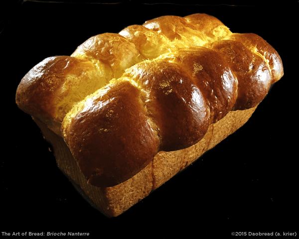 Pain Brioche
