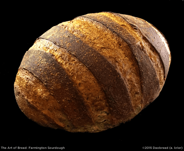 Farmington Sourdough
