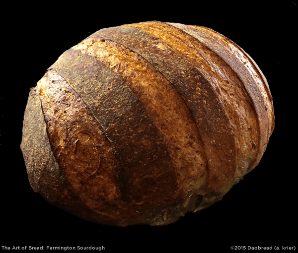Farmington Sourdough