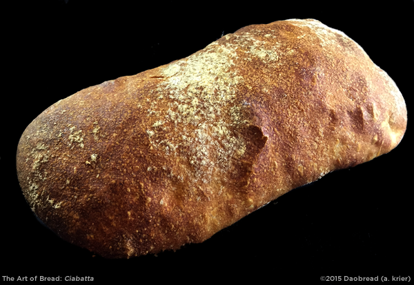 Ciabatta