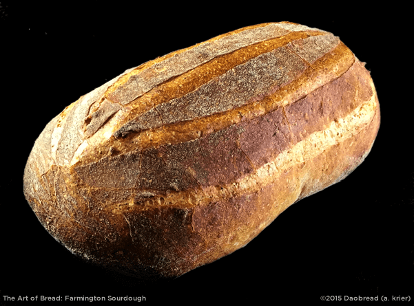 Farmington Sourdough