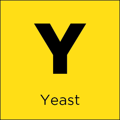 Yeast Yeast