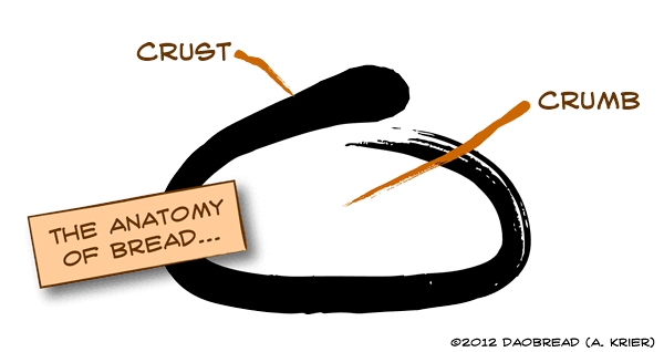 daobread-loaf-anatomy